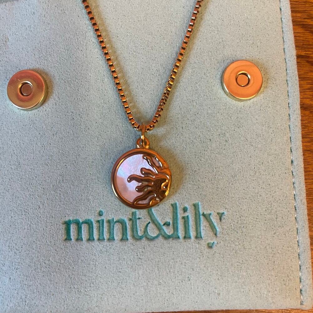 NEW Mint & Lily Mother of Pearl Sun Pendant 16" Gold-tone White